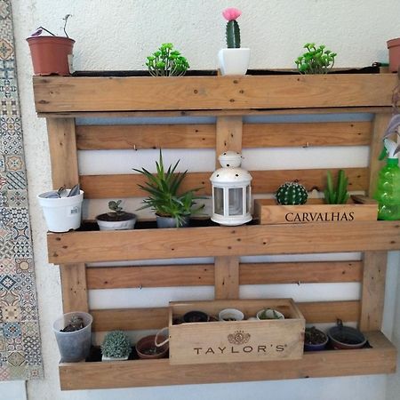 Santa Catarina Patio Apartment - With Washer Machine Porto Buitenkant foto
