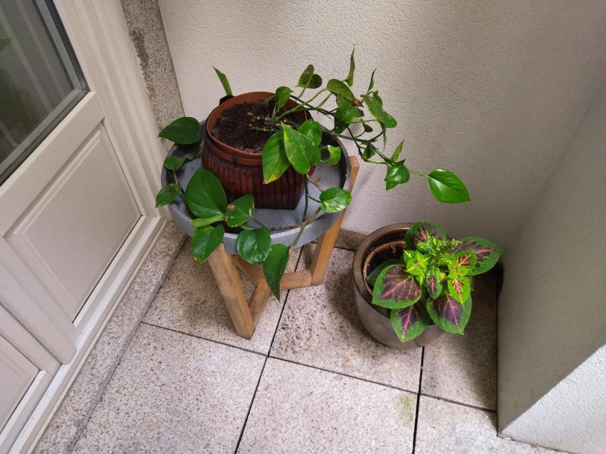 Santa Catarina Patio Apartment - With Washer Machine Porto Buitenkant foto